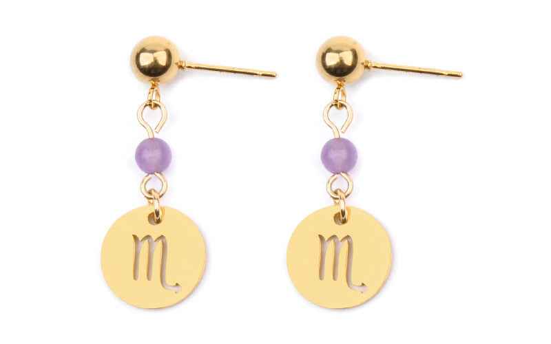 Stainless Steel Twelve Constellation Earrings - Beauty Accessories