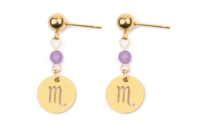 Stainless Steel Twelve Constellation Earrings - Beauty Accessories
