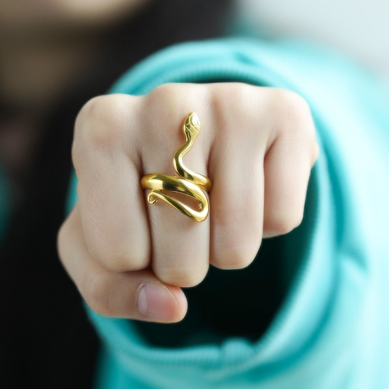 Serpentine stainless steel ring - Beauty Accessories