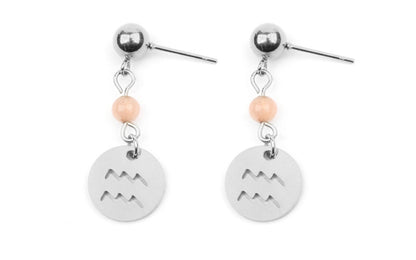 Stainless Steel Twelve Constellation Earrings - Beauty Accessories