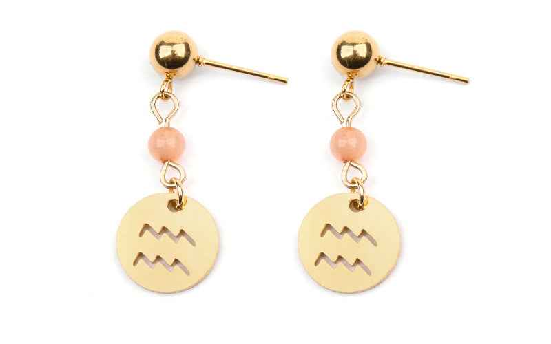 Stainless Steel Twelve Constellation Earrings - Beauty Accessories
