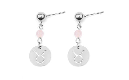 Stainless Steel Twelve Constellation Earrings - Beauty Accessories