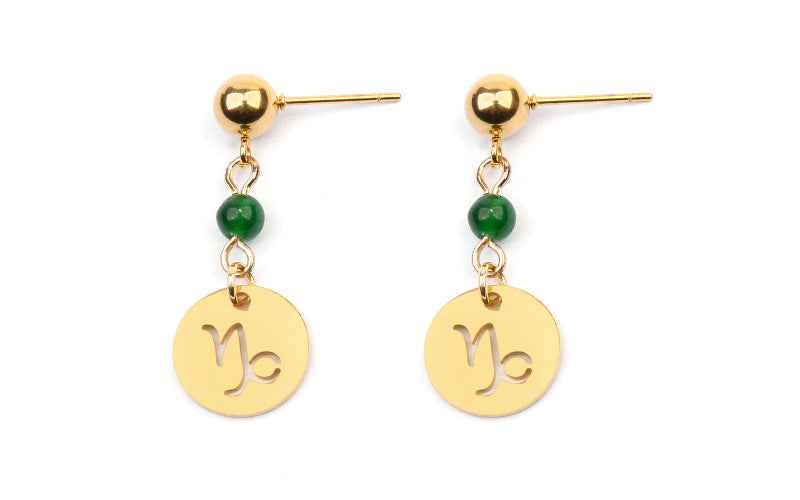 Stainless Steel Twelve Constellation Earrings - Beauty Accessories