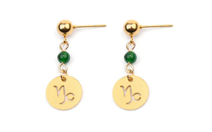 Stainless Steel Twelve Constellation Earrings - Beauty Accessories