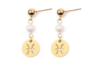 Stainless Steel Twelve Constellation Earrings - Beauty Accessories