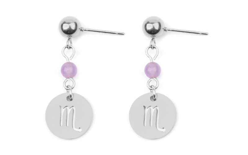 Stainless Steel Twelve Constellation Earrings - Beauty Accessories
