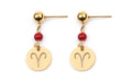 Stainless Steel Twelve Constellation Earrings