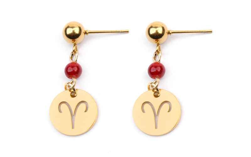Stainless Steel Twelve Constellation Earrings