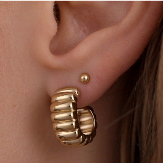 Stylish Stainless Steel Geometric Earrings - Beauty Accessories